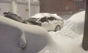 黑龙江暴雪过后 鹤岗车主挖宝寻车：挖到车牌才知道是谁的车！