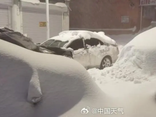 黑龙江暴雪过后 鹤岗车主挖宝寻车：挖到车牌才知道是谁的车！